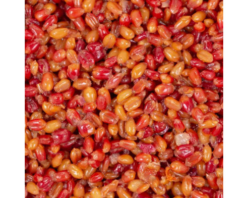 Зерновая смесь MINENKO Tropic Fruit MIX Wheat (4кг)