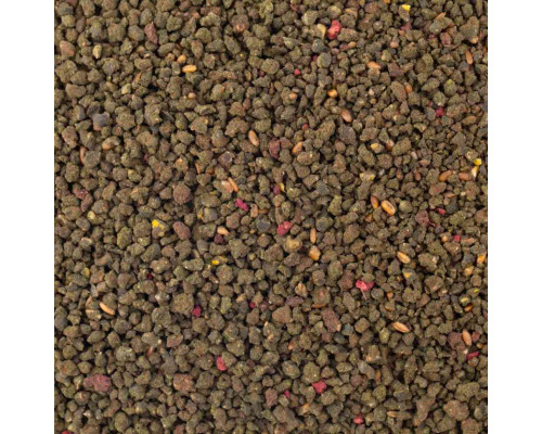 Прикормка MINENKO CARP Mussel (3кг)