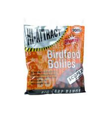 Бойлы Dynamite Baits Hi-Attract Scopex 20мм 1кг