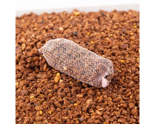 Прикормка MINENKO CARP Fish & Liver (3кг)